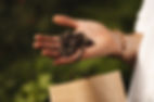 Woolero del 2 0126 kopi prøve.jpg