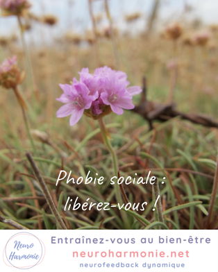 Phobie sociale : libérez-vous !