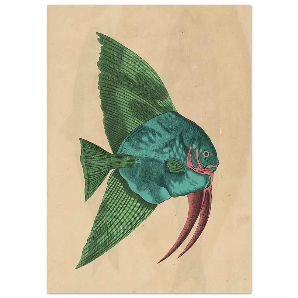 Thumbnail: Colorful Fish
