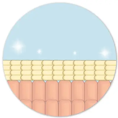 Web_anim1.webp