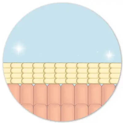 Web_anim2.webp