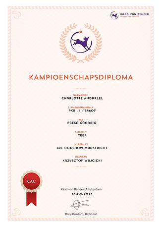 Presa Canario 2024 Dogshow Maastricht kampioenschapdiploma