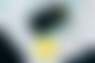 Accounting Tips for Authors