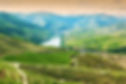 douro-valley-vineyards-e1499866799981-1.jpg