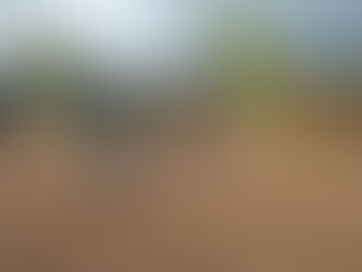 Apresentação do bastão de resgate