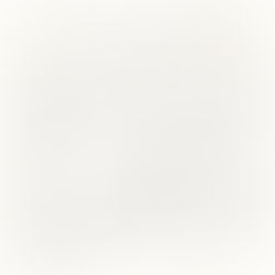 A Beginner's Guide To Essential Oils