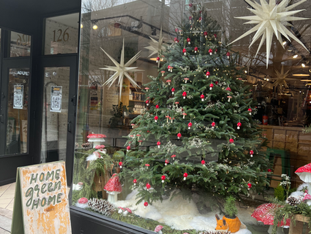 Local business reflects Ithaca, NY environmental values