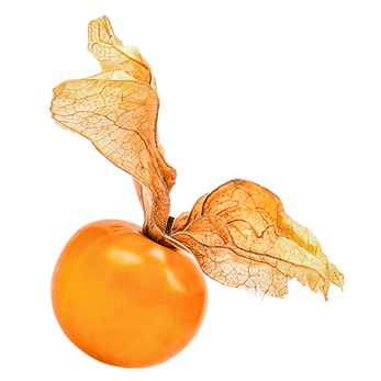 FruitPhys.png