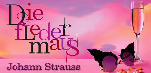 fledermaus_X_image.jpg