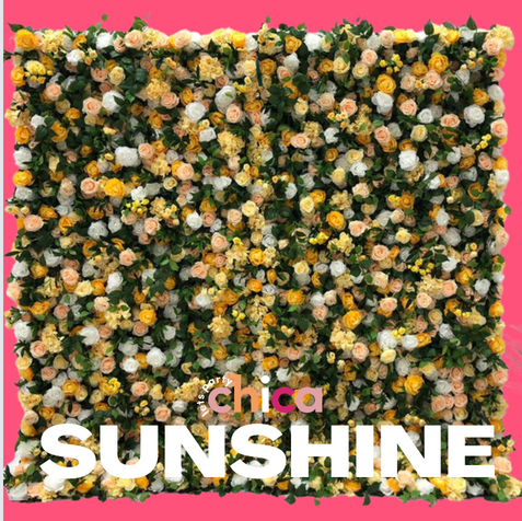 Screen Shot 2022-06-15 at 1.44.27 PM.png