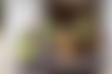 Distribution de colis alimentaires à Plazac