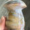 Thumbnail: Ocean Jasper Mushroom