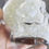 Thumbnail: Skull Jar with Opalite Chips
