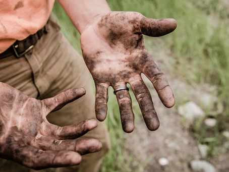 Not all Calories are Nutrient Dense, Solve with Soil Health