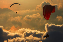 Freedom