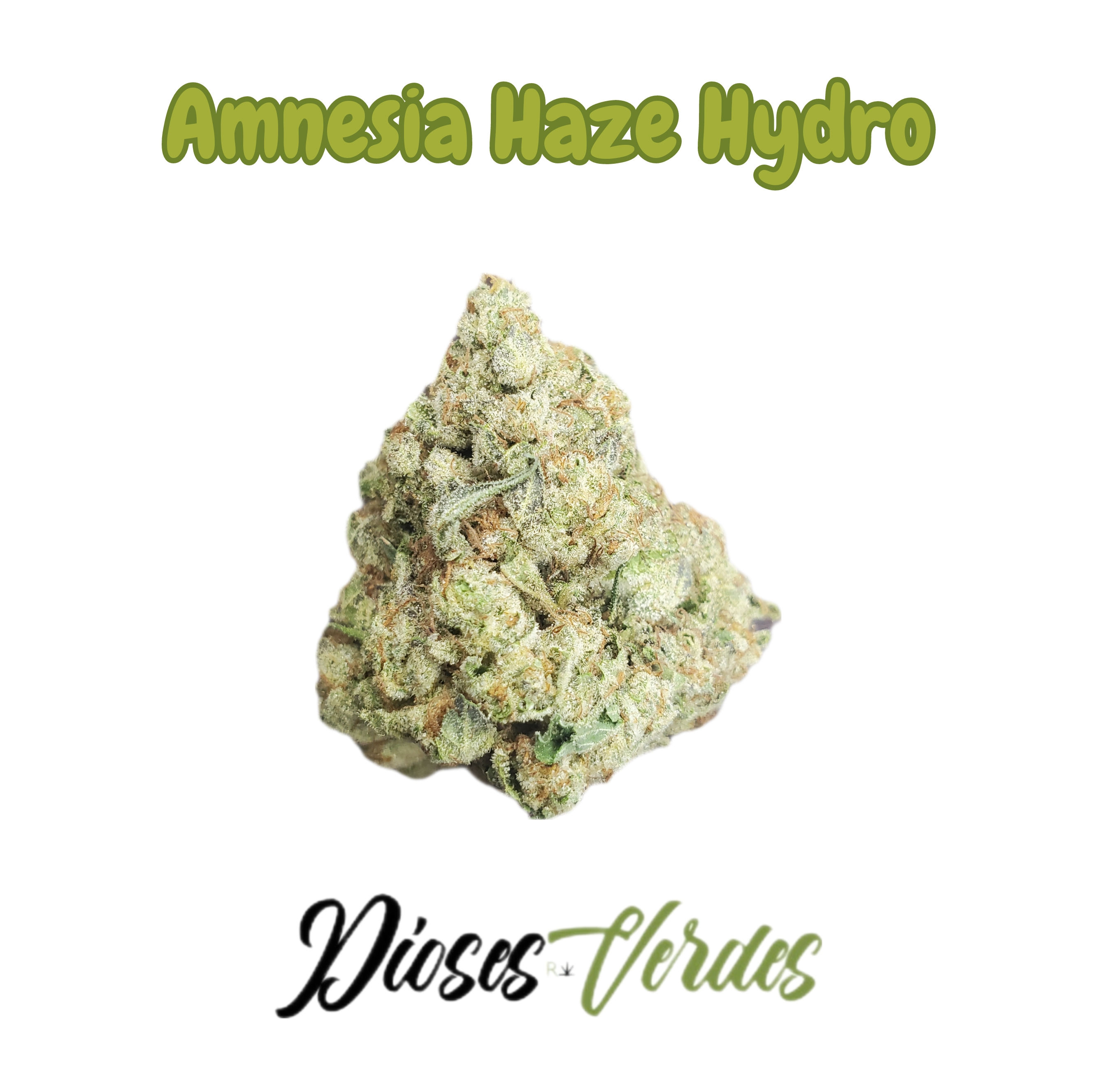 DVRX WEED HYDRO "AMNESIA HAZE" SATIVA