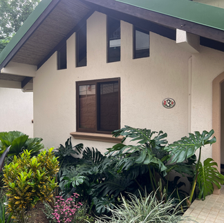 House and plants
