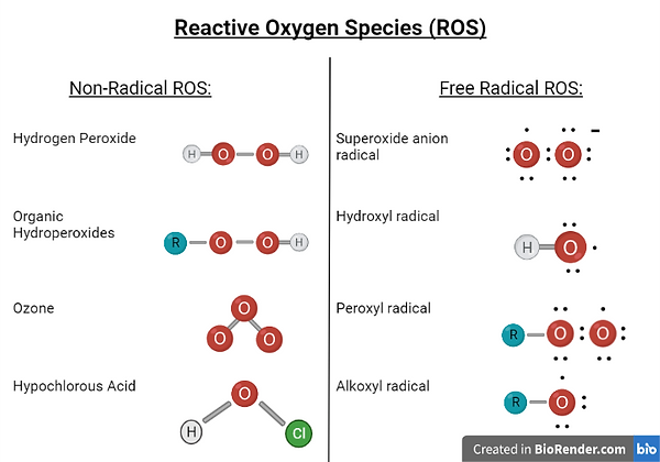 M2D ROS Figure 2 (1).png