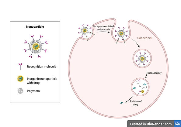 Image for cancer therapy mechanism.png