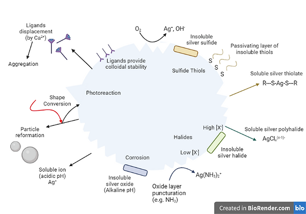 7. Antibacterial properties.png