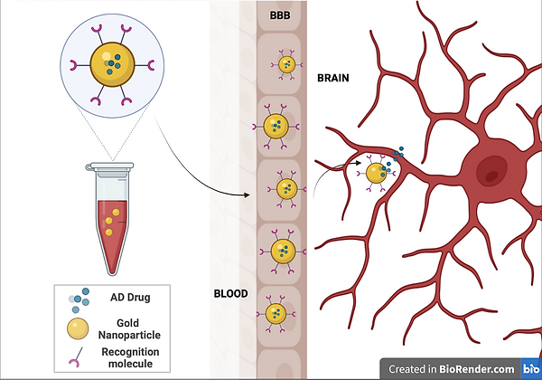 Image for AD drug therapy mechanism.png