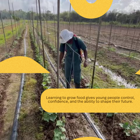In Conversation with Paradise Produce
