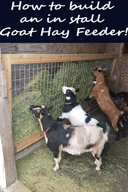 Goat Hay Feeder