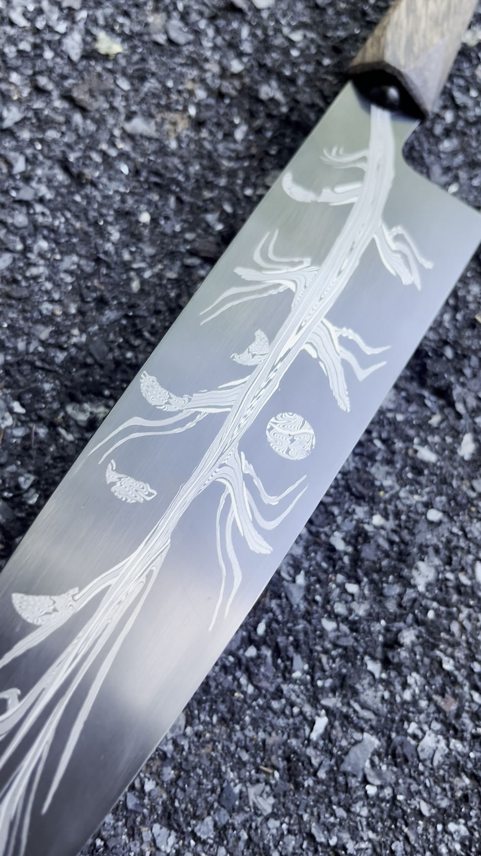 Thumbnail: Tree of Life