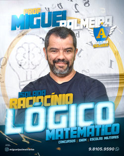 Peça - Miguel Palmeira - Raciocínio Lógi
