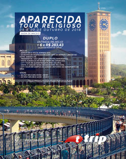 Peça - Trip - Aparecida 1