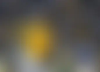 Aguilas Cibaeñas mantienen su dominio y Jerar Encarnación guía triunfo 4-2 sobre el Licey