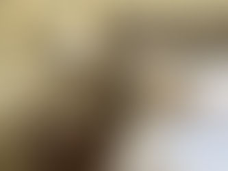 Creating the Perfect Guest Room Space