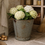 Thumbnail: Hydrangeas in galvanized dairy bucket