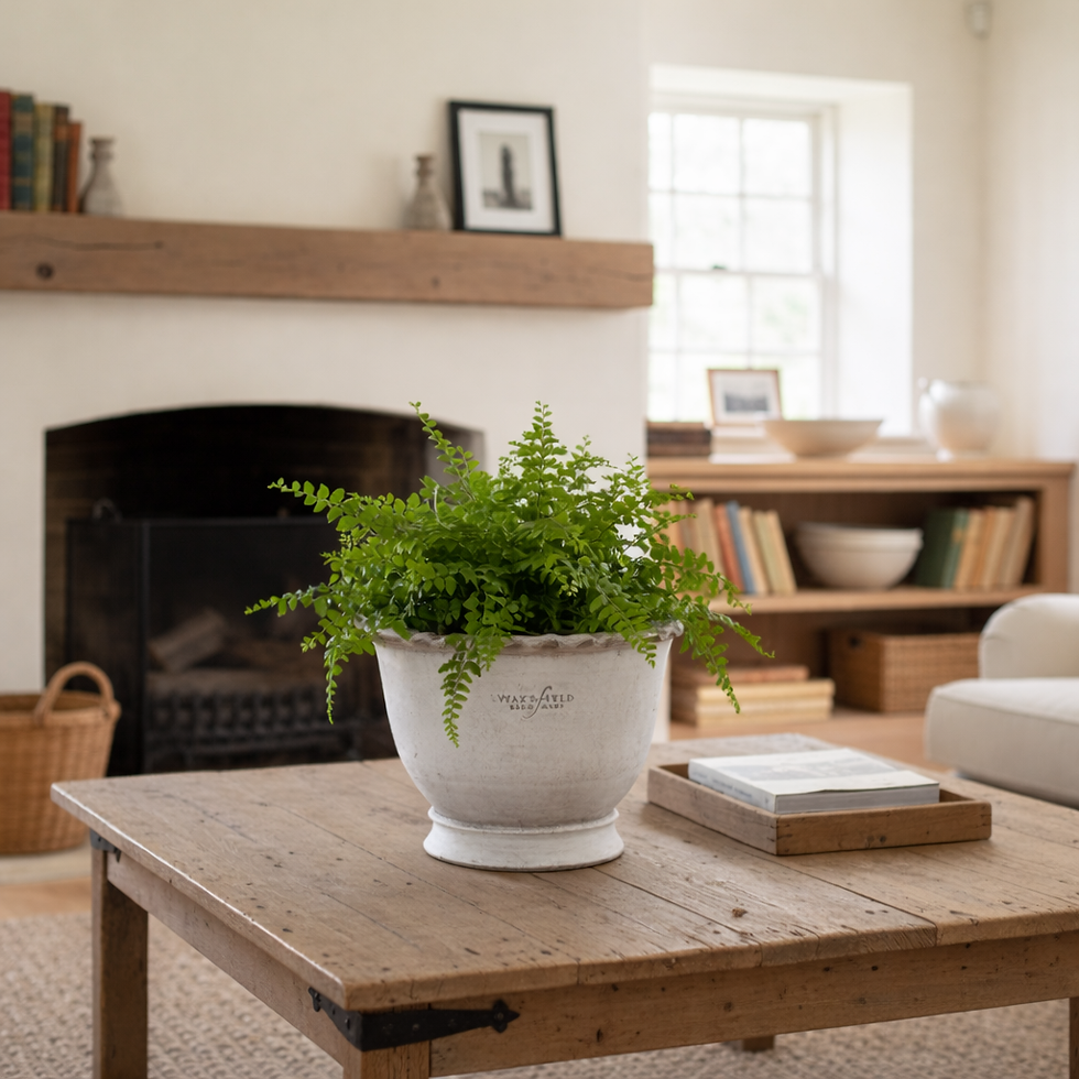 Thumbnail: Wakefield Handmade Alvena Pot with fern