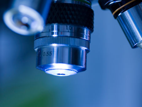 Enhancing Wound Healing Through Pre-Clinical Research Services