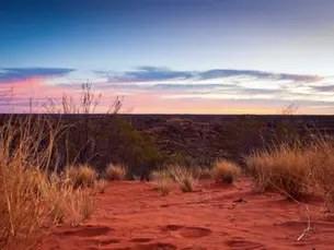 Indigenous Framework Reshapes WWF's Conservation Strategy
