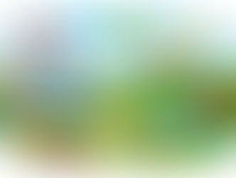 Curious George and the Karuizawa Villa