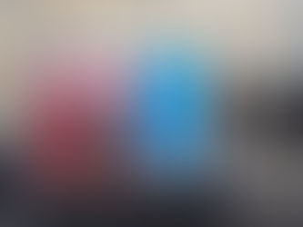 Steglitz-Zehlendorf: Plakat-Kampagne