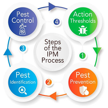 IPM-Blog.jpeg