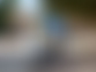 Starship Technologies séduit avec son robot de livraison et lève 17 millions de dollars