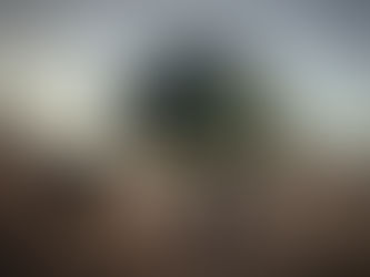 Hyundai crée une nouvelle unité chargée d'inventer une classe de véhicule transformable