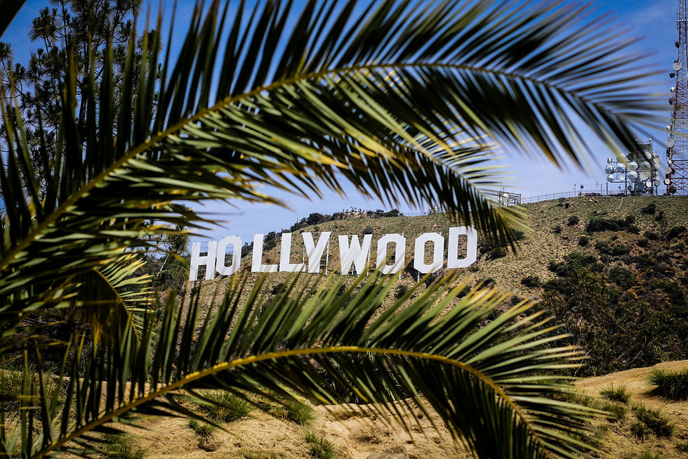 Hollywood sign on a hill, partially obscured by palm fronds. Clear blue sky, communication towers in the background. Sunny and vivid atmosphere.