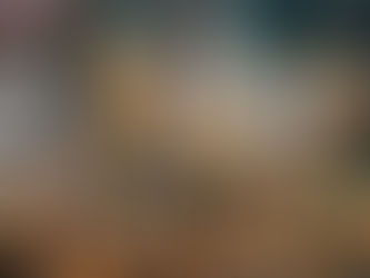 Aquacultured clownfish for aquarium trade.