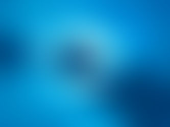 A group of manta rays swim near the surface together, silhouetted against the sunlight.