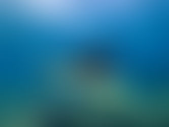 Researcher conducting a manta tow survey, gripping a board that is slowly towed behind a boat over coral reef areas.