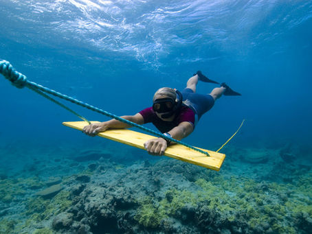 Researcher conducting a manta tow survey, gripping a board that is slowly towed behind a boat over coral reef areas.
