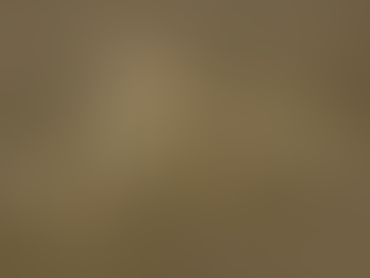 Image of line art of a hummingbird created 1000 years ago on the Nazca Plains of Peru.