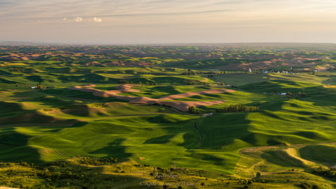 Steptoe Butte View to SW, Steptoe State Park, WA