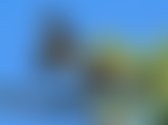 Sharp-shinned Hawk vs. Sharp-shinned Hawk