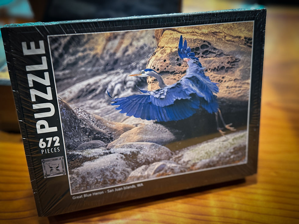 Great Blue Heron - San Juan Islands, WA - 672 pc